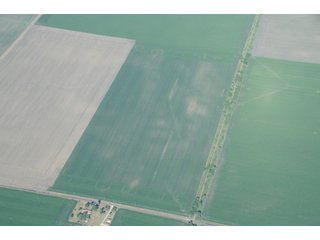 Property photo 7 - 152 +/- Acres Offered in 2 Tracts - Prime Tillable Farmland