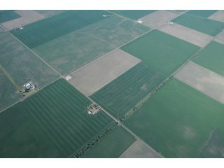 Property photo 11 - 152 +/- Acres Offered in 2 Tracts - Prime Tillable Farmland