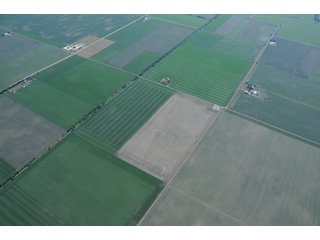 Property photo 12 - 152 +/- Acres Offered in 2 Tracts - Prime Tillable Farmland