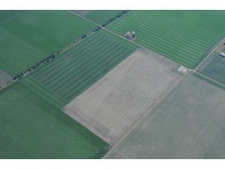 Property photo 22 - 152 +/- Acres Offered in 2 Tracts - Prime Tillable Farmland
