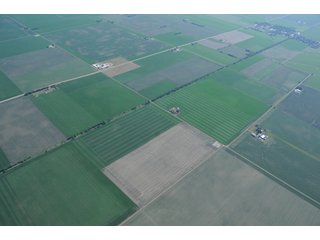 Property photo 38 - 152 +/- Acres Offered in 2 Tracts - Prime Tillable Farmland