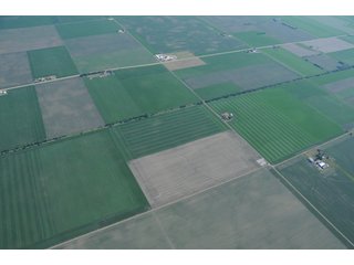 Property photo 2 - 152 +/- Acres Offered in 2 Tracts - Prime Tillable Farmland