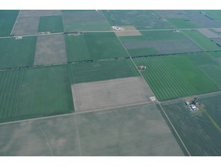 Property photo 20 - 152 +/- Acres Offered in 2 Tracts - Prime Tillable Farmland