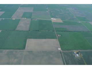 Property photo 16 - 152 +/- Acres Offered in 2 Tracts - Prime Tillable Farmland