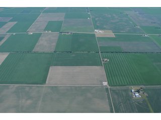 Property photo 36 - 152 +/- Acres Offered in 2 Tracts - Prime Tillable Farmland