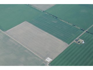 Property photo 29 - 152 +/- Acres Offered in 2 Tracts - Prime Tillable Farmland
