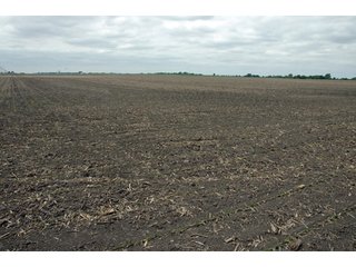 Property photo 13 - 152 +/- Acres Offered in 2 Tracts - Prime Tillable Farmland