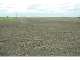 Property photo 33 - 152 +/- Acres Offered in 2 Tracts - Prime Tillable Farmland