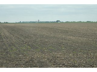 Property photo 17 - 152 +/- Acres Offered in 2 Tracts - Prime Tillable Farmland