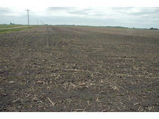 Property photo 3 - 152 +/- Acres Offered in 2 Tracts - Prime Tillable Farmland