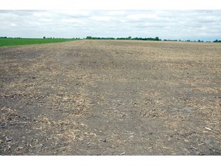 Property photo 31 - 152 +/- Acres Offered in 2 Tracts - Prime Tillable Farmland