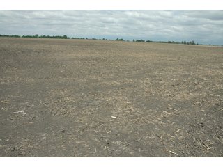 Property photo 27 - 152 +/- Acres Offered in 2 Tracts - Prime Tillable Farmland