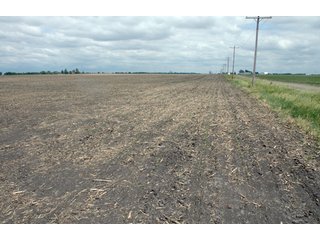 Property photo 28 - 152 +/- Acres Offered in 2 Tracts - Prime Tillable Farmland