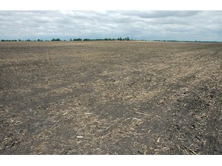 Property photo 6 - 152 +/- Acres Offered in 2 Tracts - Prime Tillable Farmland
