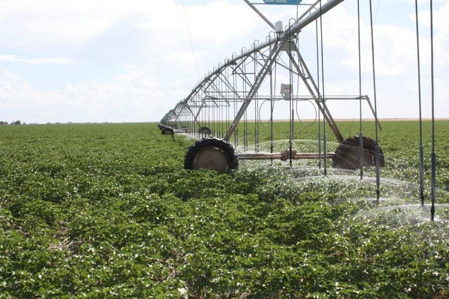 3,641 Acre Land Auction Offered in 5 Tracts - 2,060 Acres Irrigated