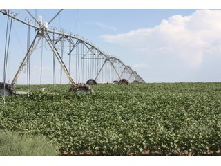 Property photo 1 - 3,641 Acre Land Auction Offered in 5 Tracts - 2,060 Acres Irrigated