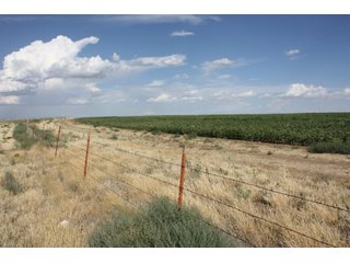 Property photo 12 - 3,641 Acre Land Auction Offered in 5 Tracts - 2,060 Acres Irrigated