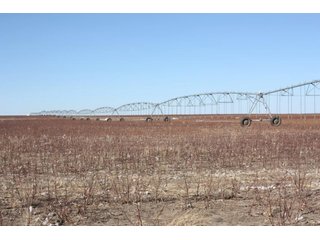 Property photo 3 - 3,641 Acre Land Auction Offered in 5 Tracts - 2,060 Acres Irrigated