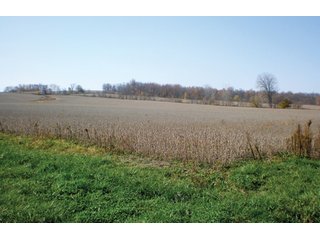 Property photo 4 - Mary Leming Trust - 300 +/- Acres Offered in 7 Tracts