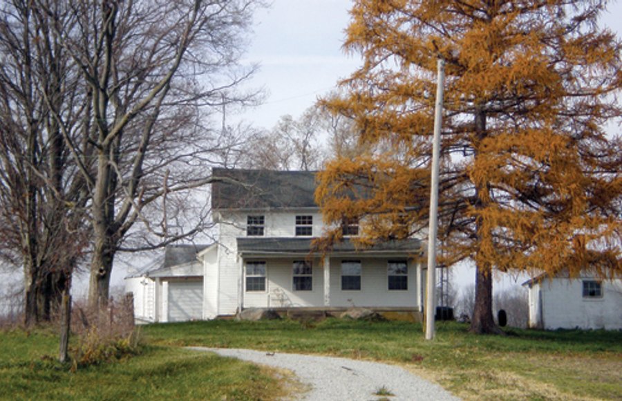 Mary Leming Trust - 300 +/- Acres Offered in 7 Tracts