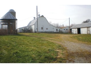 Property photo 2 - Mary Leming Trust - 300 +/- Acres Offered in 7 Tracts