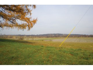 Property photo 1 - Mary Leming Trust - 300 +/- Acres Offered in 7 Tracts