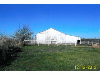 Property photo 5 - 40.8+/- Acres Offered in 2 Tracts - Land Auction