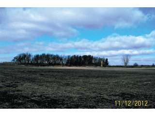 Property photo 4 - 40.8+/- Acres Offered in 2 Tracts - Land Auction