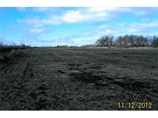 Property photo 2 - 40.8+/- Acres Offered in 2 Tracts - Land Auction