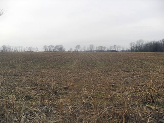 Property photo 3 - McLane Estate - 46 +/- Acres Offered in 2 Tracts