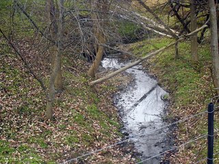Property photo 1 - McLane Estate - 46 +/- Acres Offered in 2 Tracts