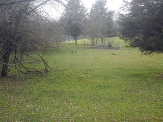 Property photo 2 - McLane Estate - 46 +/- Acres Offered in 2 Tracts