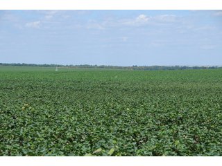 Property photo 10 - 6,900 Acre Land Auction Offered in 15 Tracts - 3,800 Acres Irrigated