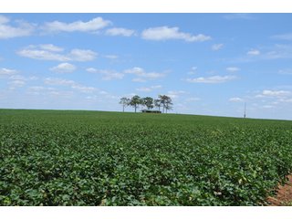 Property photo 38 - 6,900 Acre Land Auction Offered in 15 Tracts - 3,800 Acres Irrigated