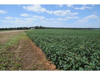 Property photo 54 - 6,900 Acre Land Auction Offered in 15 Tracts - 3,800 Acres Irrigated