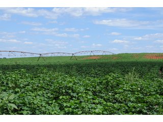 Property photo 14 - 6,900 Acre Land Auction Offered in 15 Tracts - 3,800 Acres Irrigated