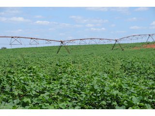 Property photo 43 - 6,900 Acre Land Auction Offered in 15 Tracts - 3,800 Acres Irrigated