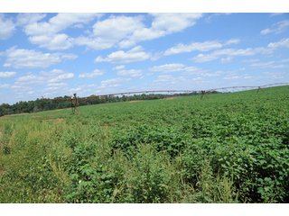 Property photo 33 - 6,900 Acre Land Auction Offered in 15 Tracts - 3,800 Acres Irrigated