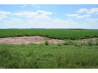 Property photo 56 - 6,900 Acre Land Auction Offered in 15 Tracts - 3,800 Acres Irrigated