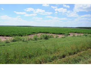 Property photo 2 - 6,900 Acre Land Auction Offered in 15 Tracts - 3,800 Acres Irrigated
