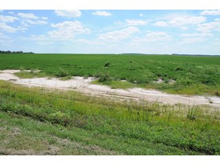 Property photo 5 - 6,900 Acre Land Auction Offered in 15 Tracts - 3,800 Acres Irrigated