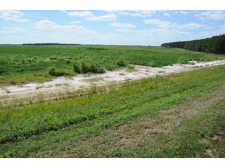 Property photo 26 - 6,900 Acre Land Auction Offered in 15 Tracts - 3,800 Acres Irrigated