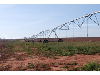 Property photo 46 - 6,900 Acre Land Auction Offered in 15 Tracts - 3,800 Acres Irrigated