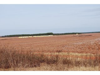 Property photo 65 - 6,900 Acre Land Auction Offered in 15 Tracts - 3,800 Acres Irrigated
