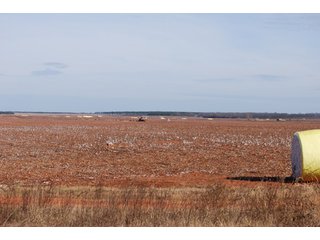 Property photo 42 - 6,900 Acre Land Auction Offered in 15 Tracts - 3,800 Acres Irrigated