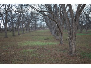 Property photo 67 - 6,900 Acre Land Auction Offered in 15 Tracts - 3,800 Acres Irrigated