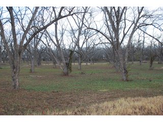 Property photo 21 - 6,900 Acre Land Auction Offered in 15 Tracts - 3,800 Acres Irrigated