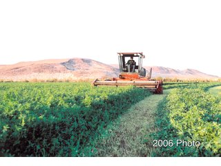 Historic Photo - 640+/- Acre Land and Associated Water Production Rights Auction