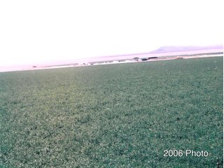 Historic Photo - 640+/- Acre Land and Associated Water Production Rights Auction