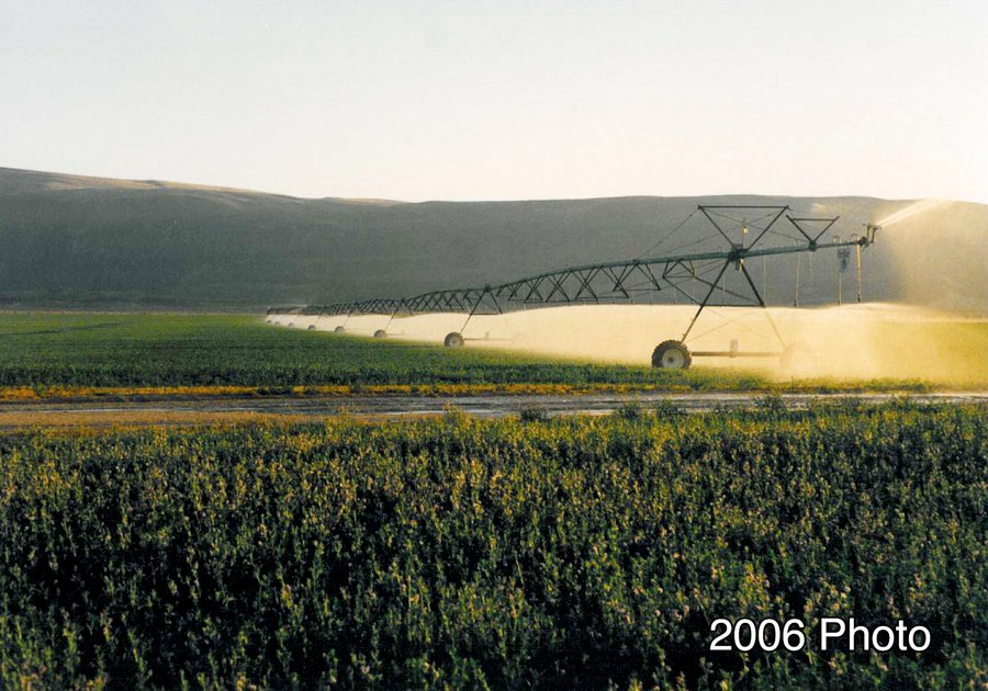 640+/- Acre Land and Associated Water Production Rights Auction